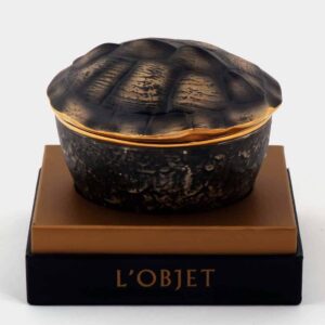 Turtle - L'Objet