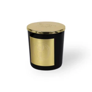 Mizensir | Bois Ardent Scented Candle