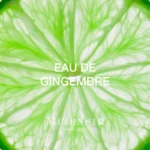 Mizensir | Eau de Gingembre Travel Set