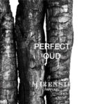 Mizensir | Perfect Oud