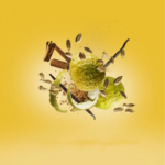 Xerjoff | Erba Gold